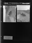 Plowing along side of field (Roy Beck -- Tractor) (2 Negatives), November 1-2, 1966 [Sleeve 1, Folder d, Box 41]